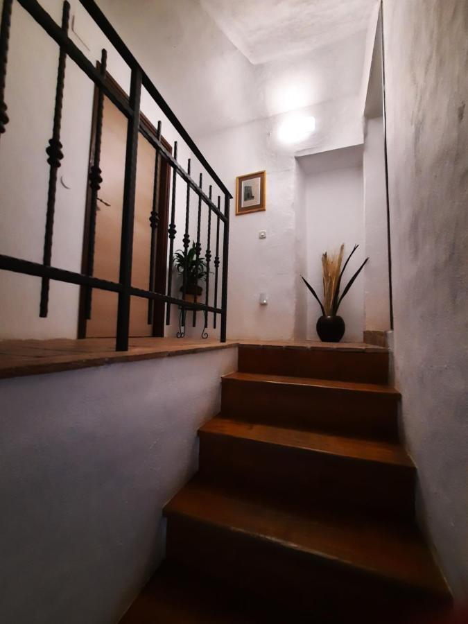 Bed & Breakfast Antico Motovun Buitenkant foto