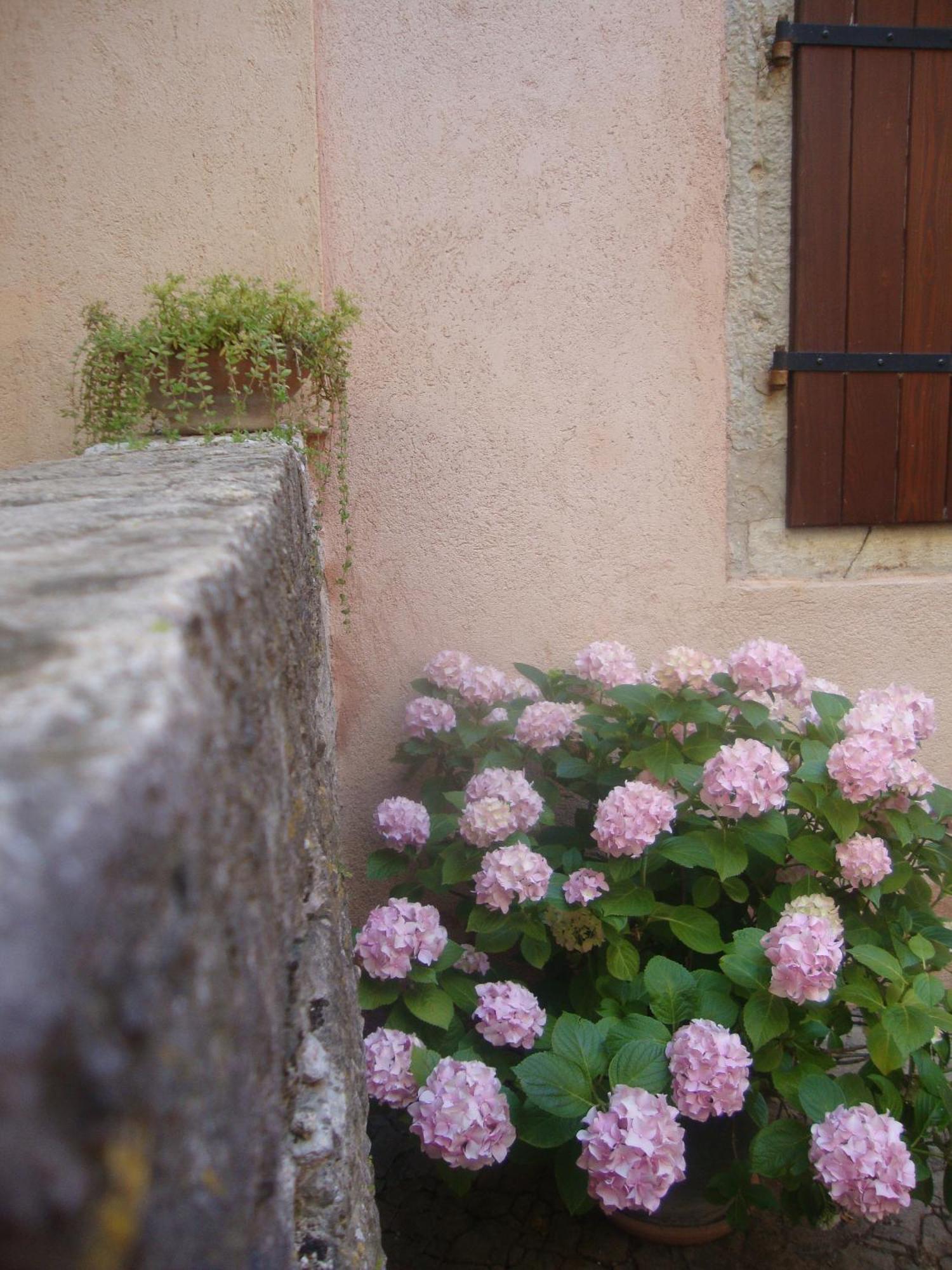 Bed & Breakfast Antico Motovun Buitenkant foto