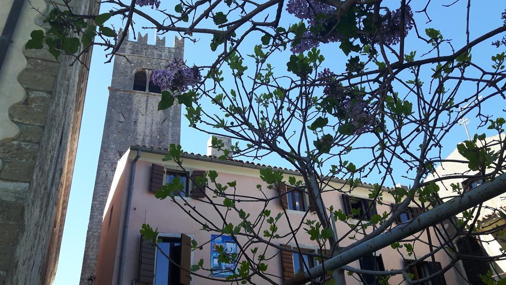 Bed & Breakfast Antico Motovun Buitenkant foto