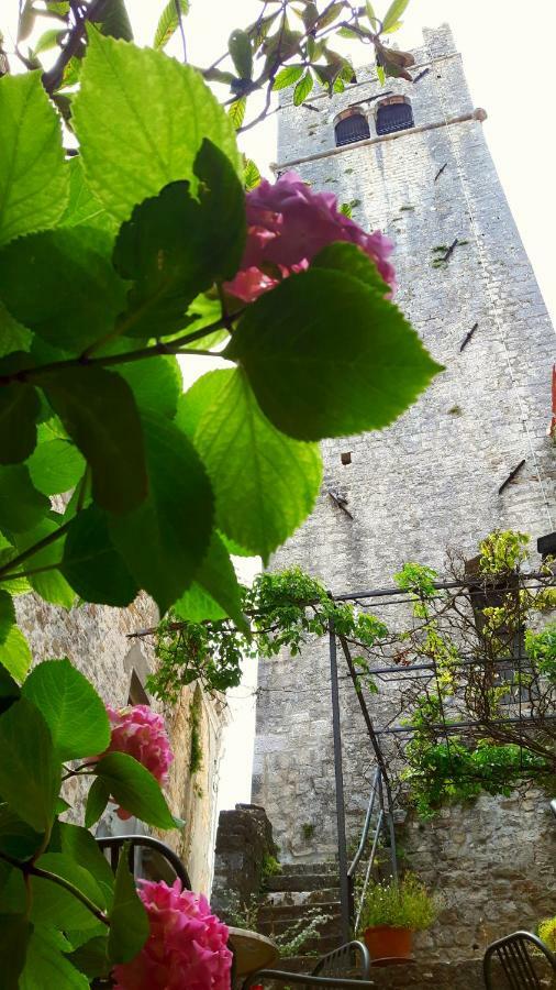 Bed & Breakfast Antico Motovun Buitenkant foto